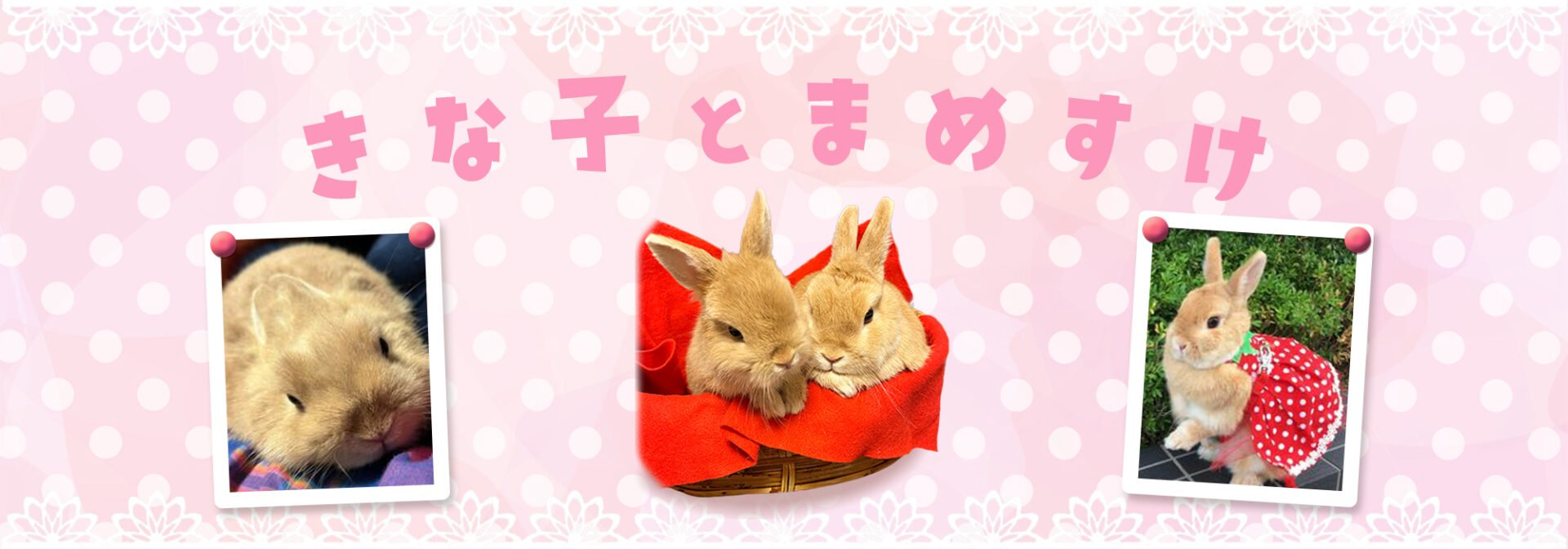 きな子とまめすけ