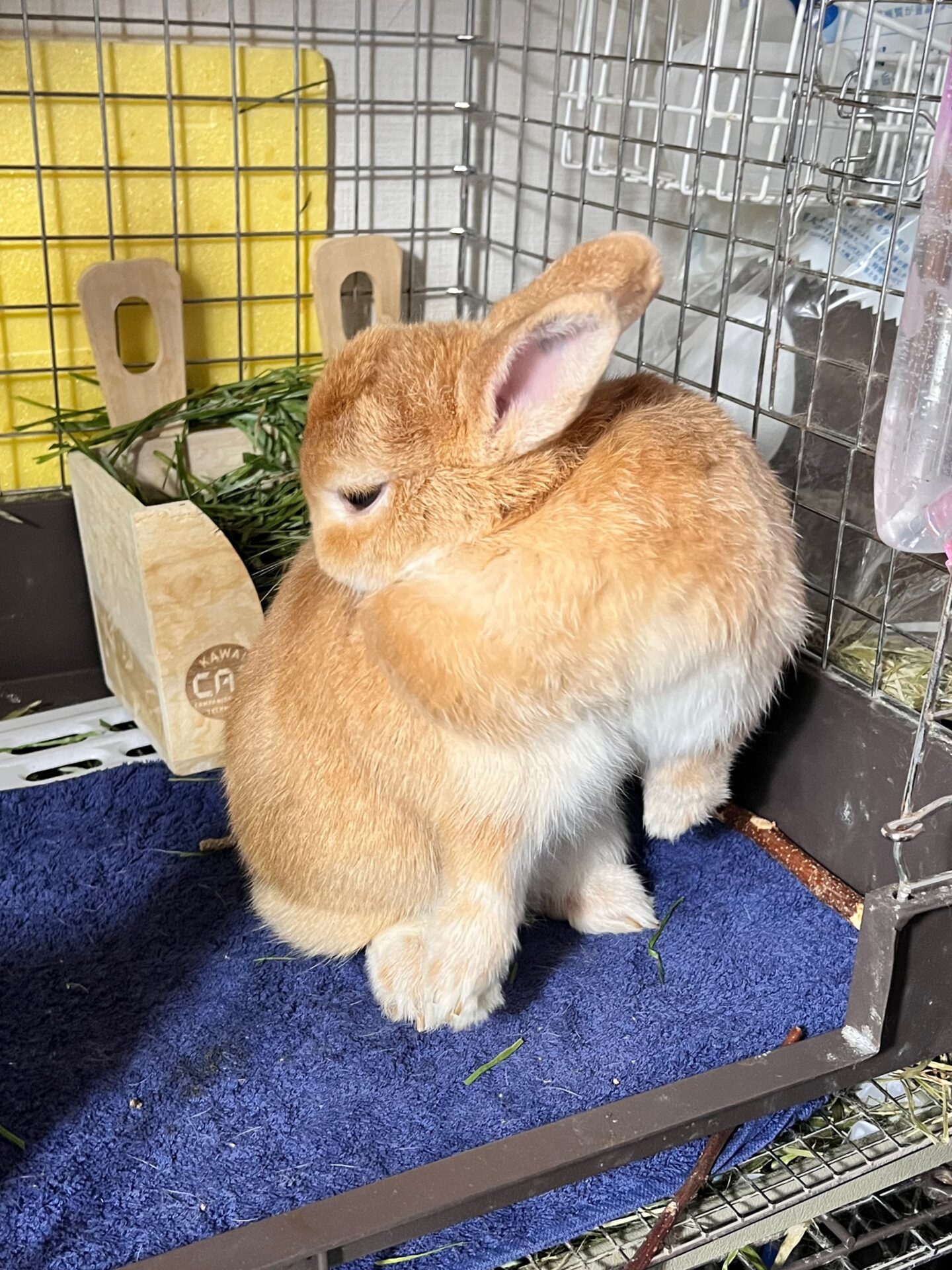 (13)パン屋さん
